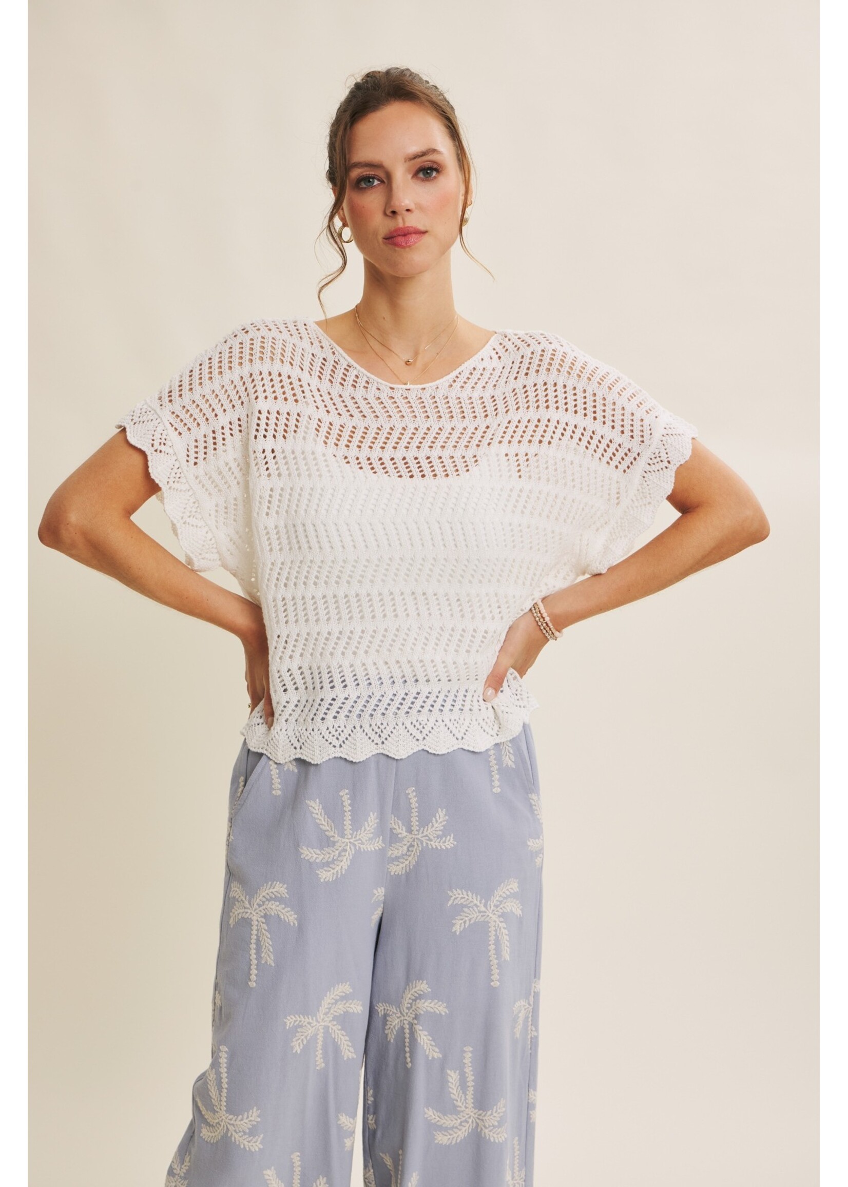 In February Airy Open Weave Crochet Sweater - E1999SW