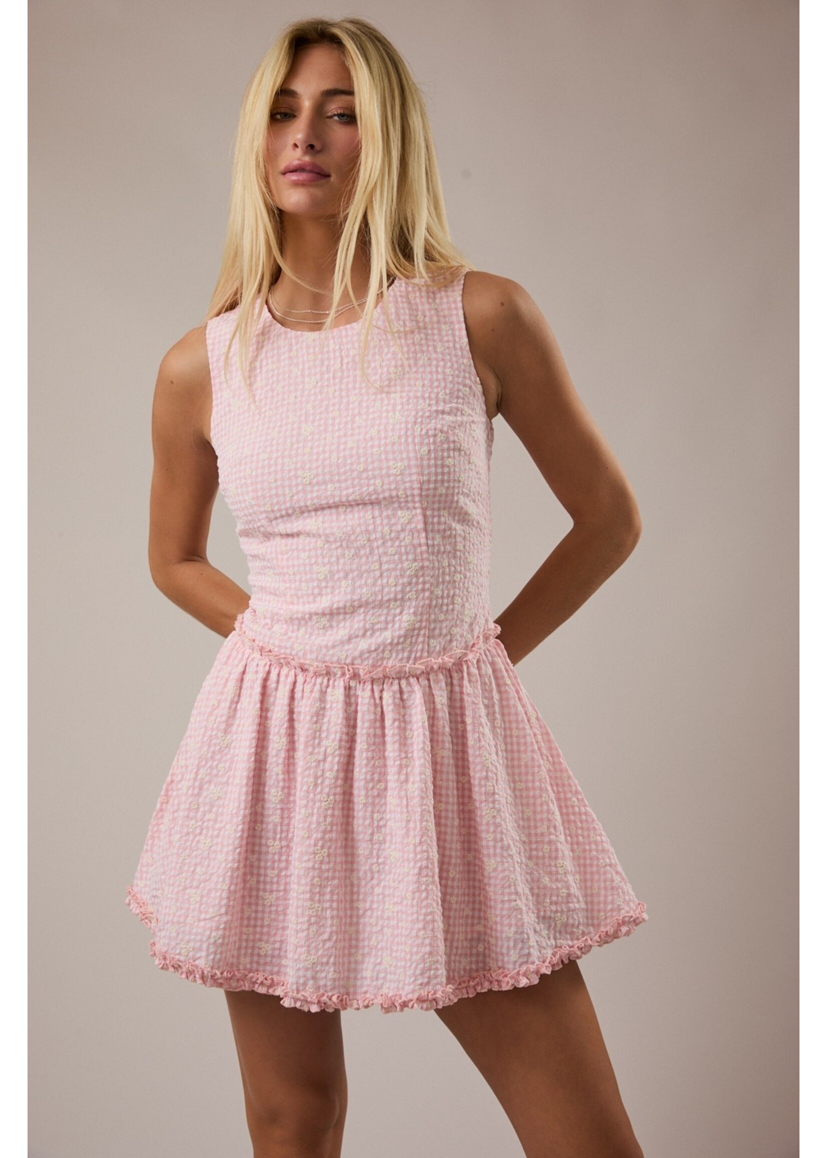 Le Lis Sleeveless Round Neck Drop Waist Gingham Mini Dress - ID6304