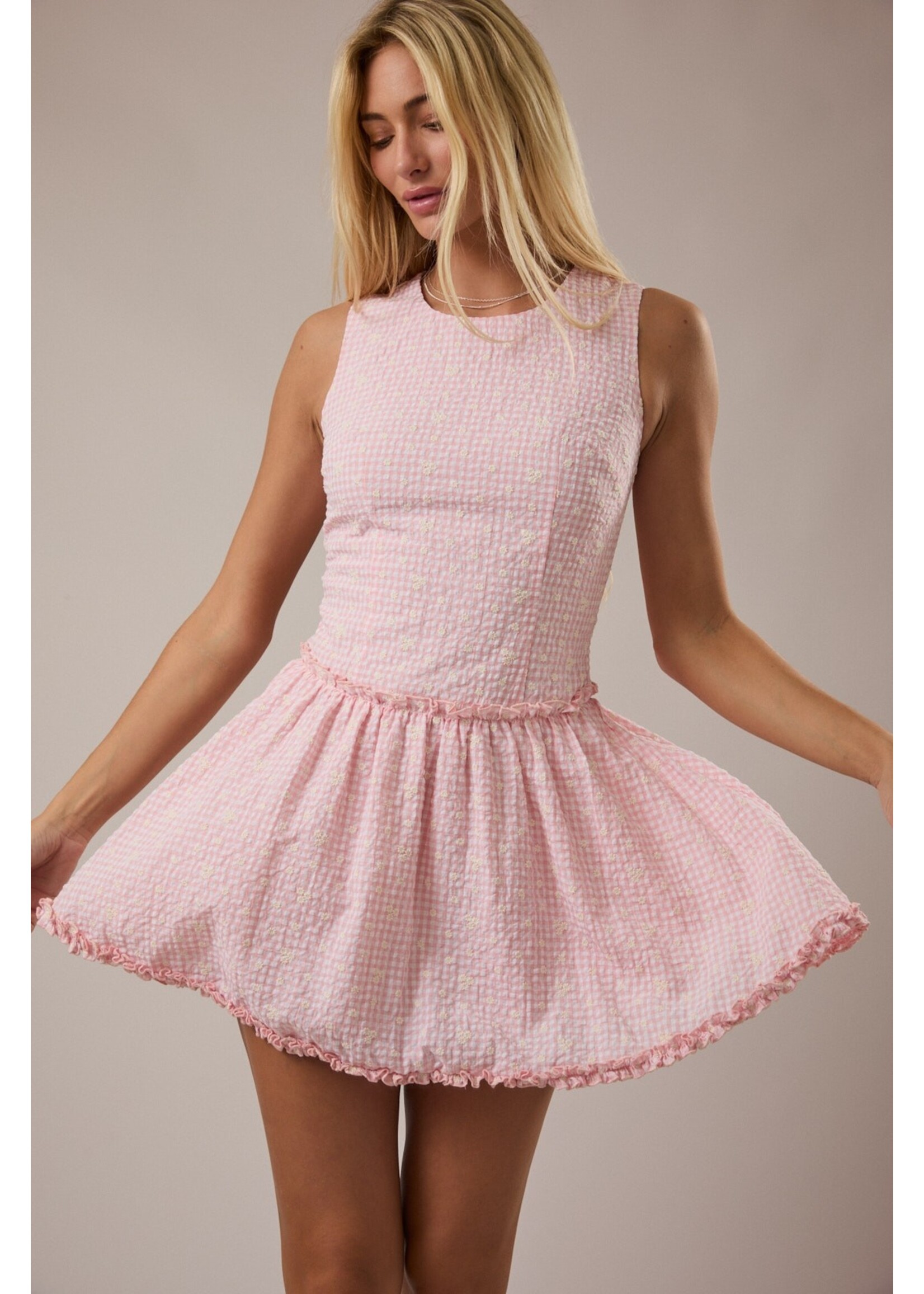 Le Lis Sleeveless Round Neck Drop Waist Gingham Mini Dress - ID6304