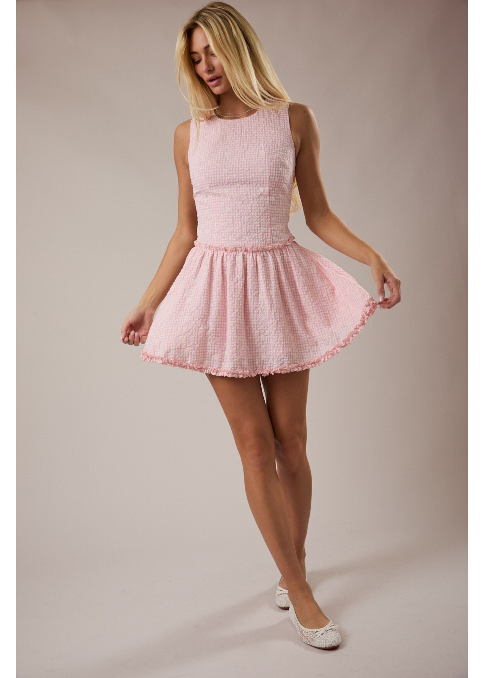 Le Lis Sleeveless Round Neck Drop Waist Gingham Mini Dress - ID6304