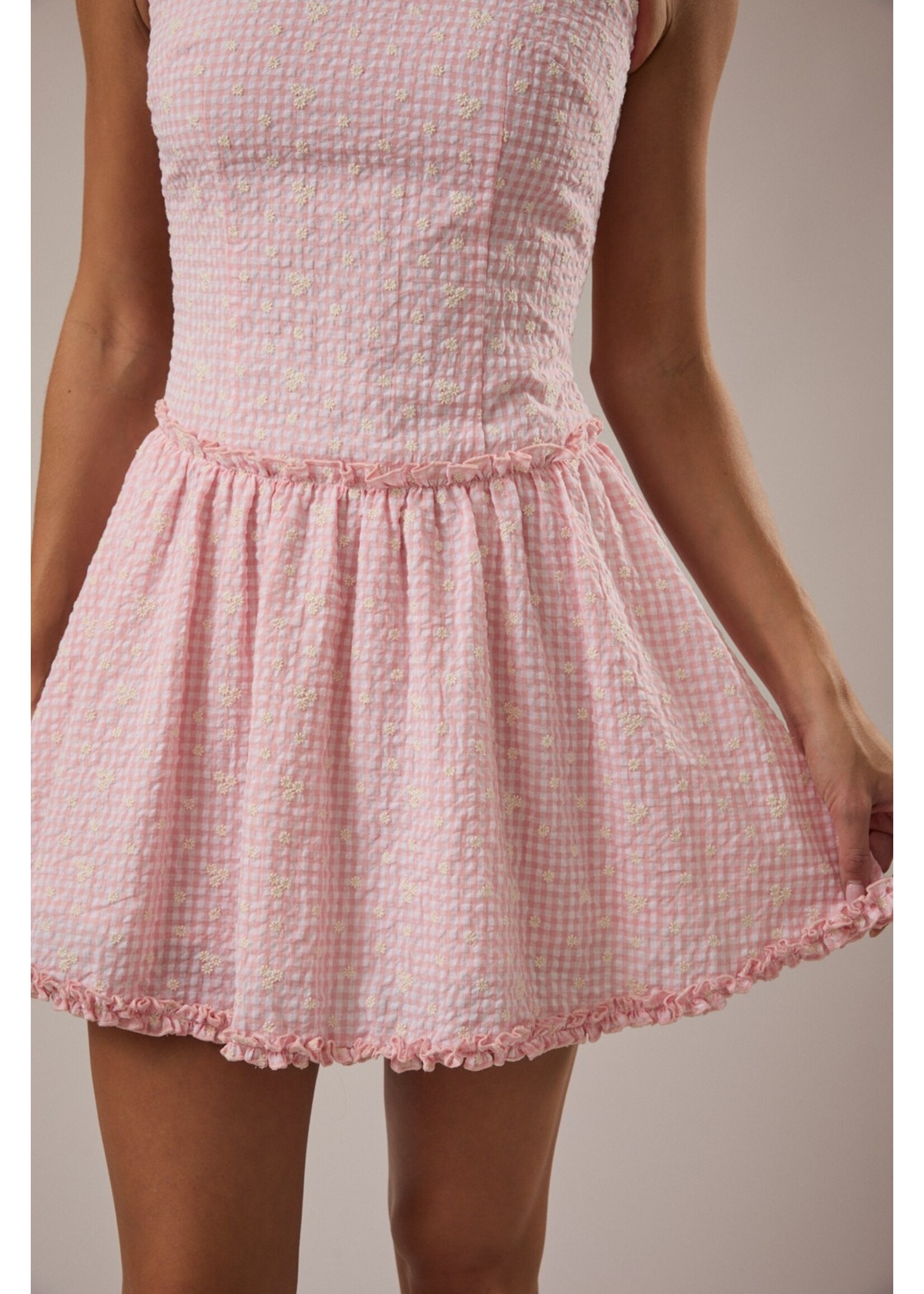 Le Lis Sleeveless Round Neck Drop Waist Gingham Mini Dress - ID6304