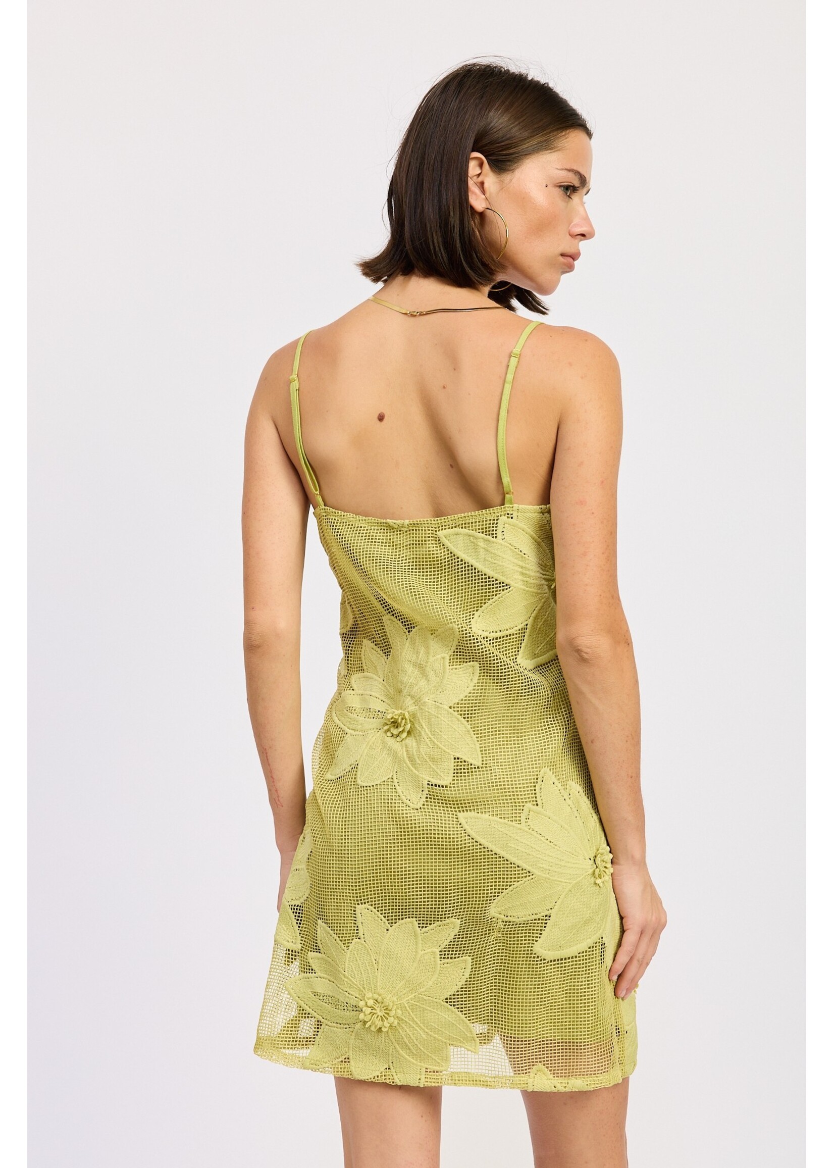 Emory Park Flower Applique Crochet Mini Dress - IPJ3909D