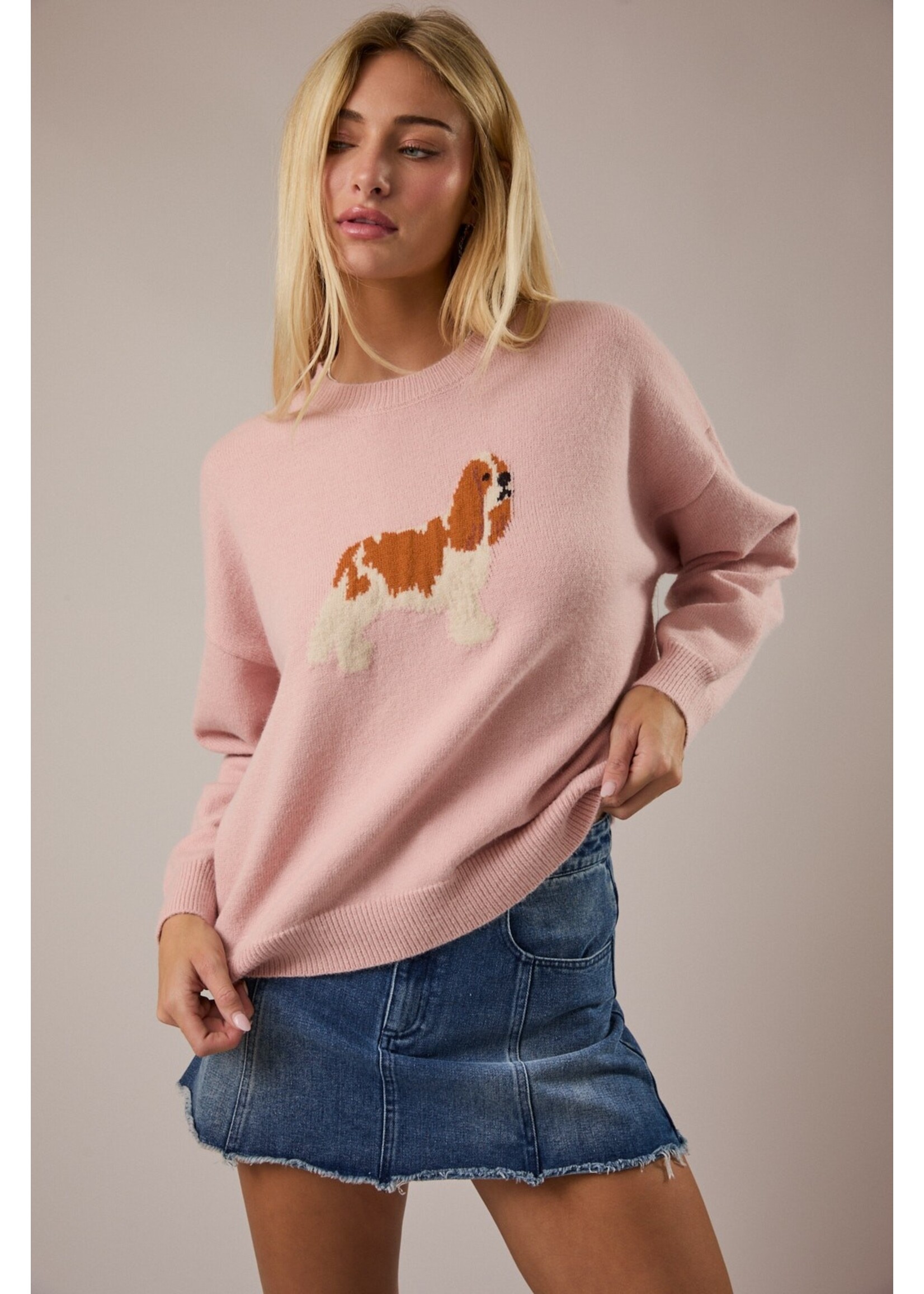 Le Lis King Charles Spaniel Dog Graphic Sweater - IWT6459-1
