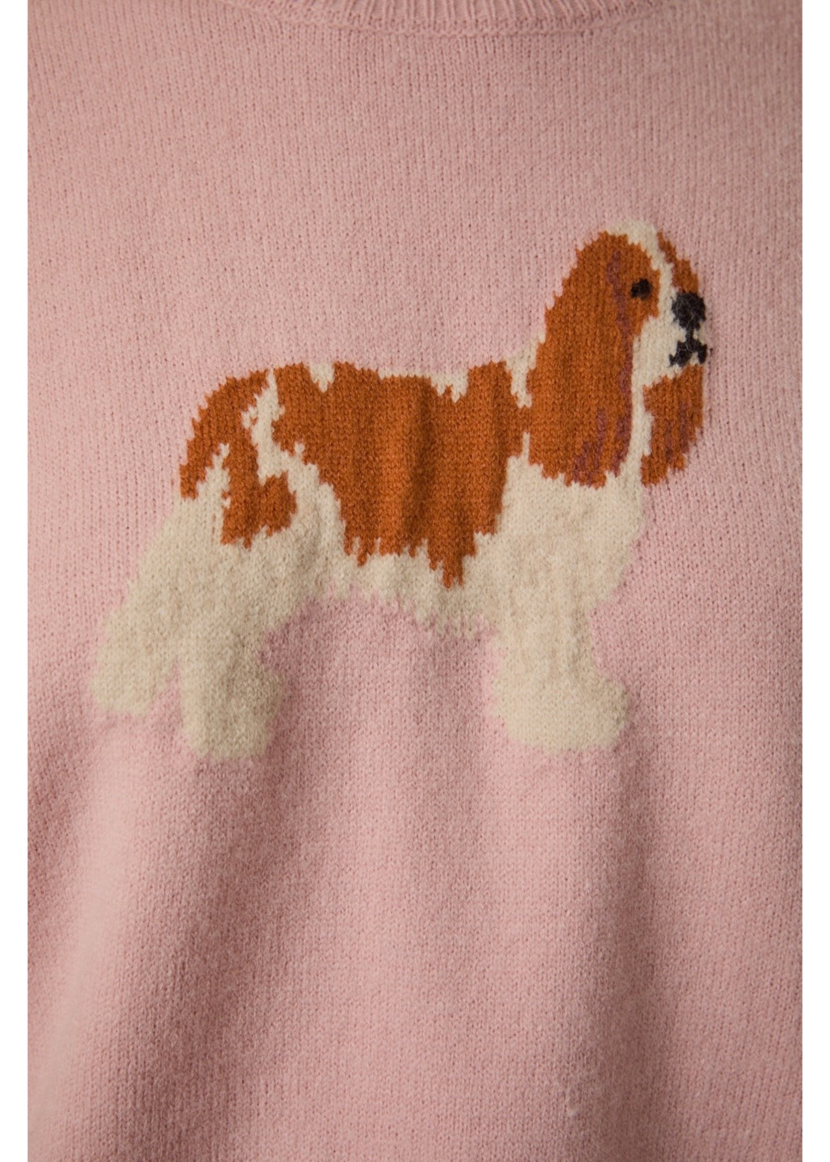 Le Lis King Charles Spaniel Dog Graphic Sweater - IWT6459-1
