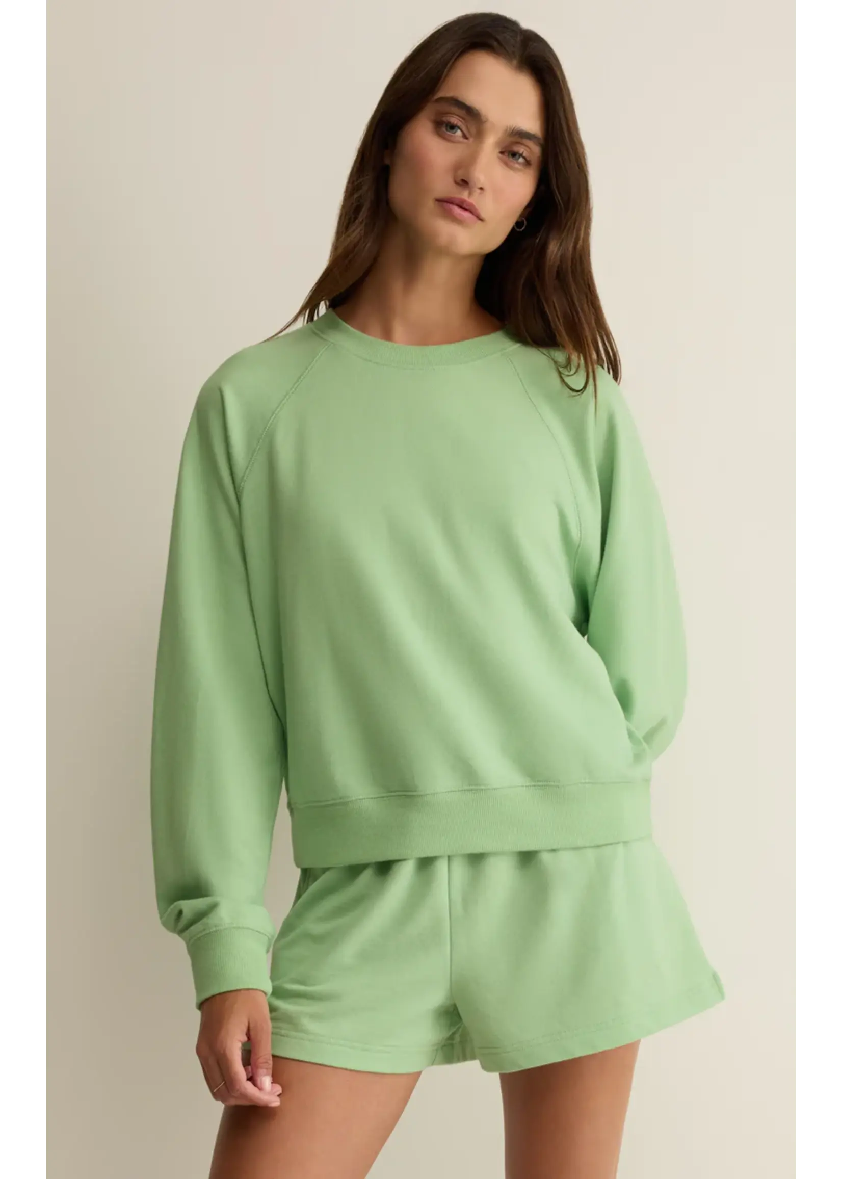 Z Supply Saldana Sweatshirt - ZVT262118S