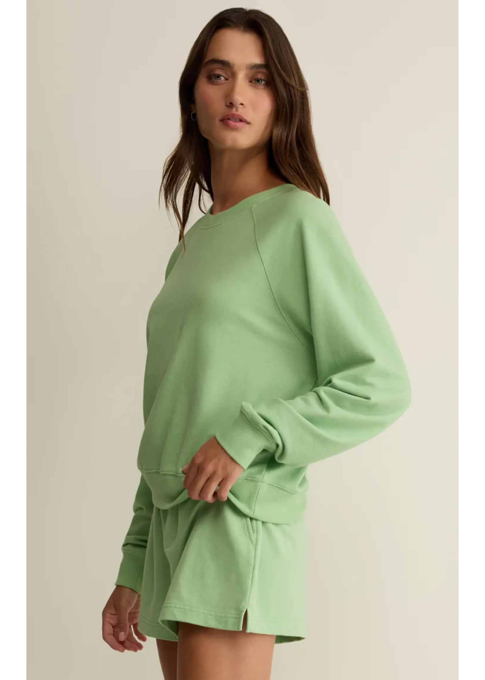 Z Supply Saldana Sweatshirt - ZVT262118S