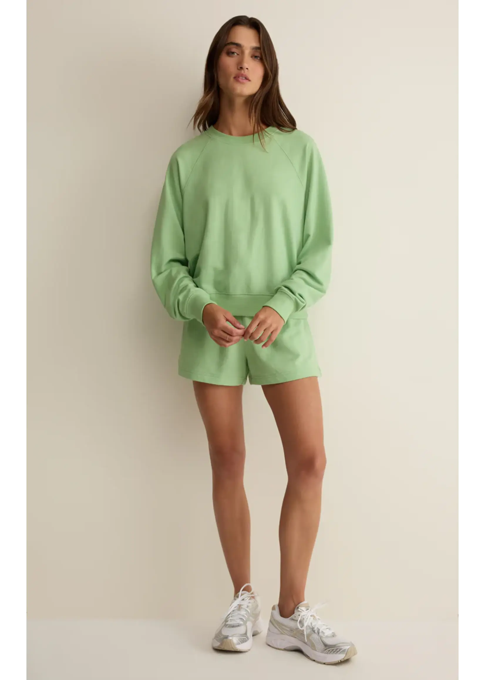 Z Supply Saldana Sweatshirt - ZVT262118S