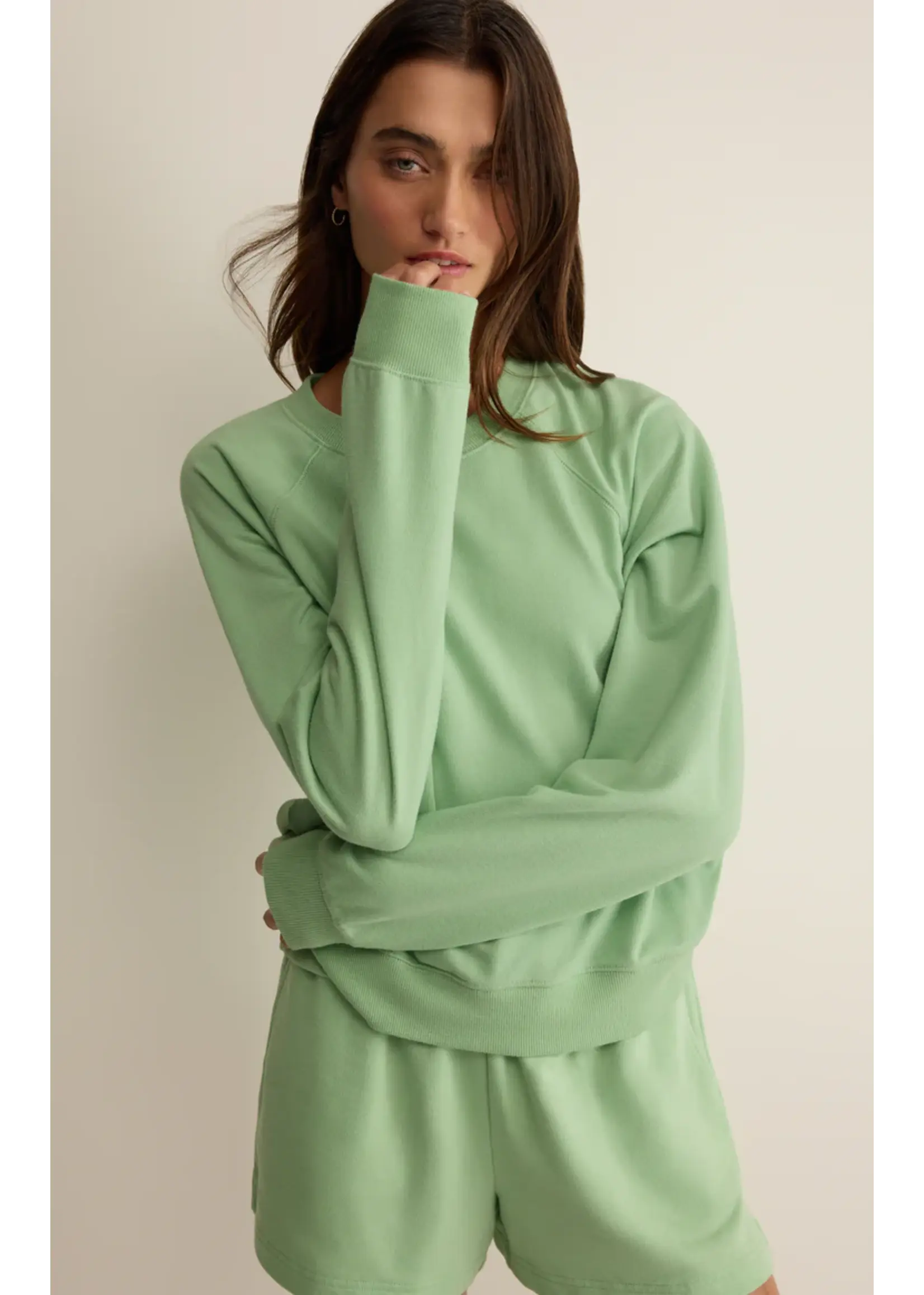 Z Supply Saldana Sweatshirt - ZVT262118S