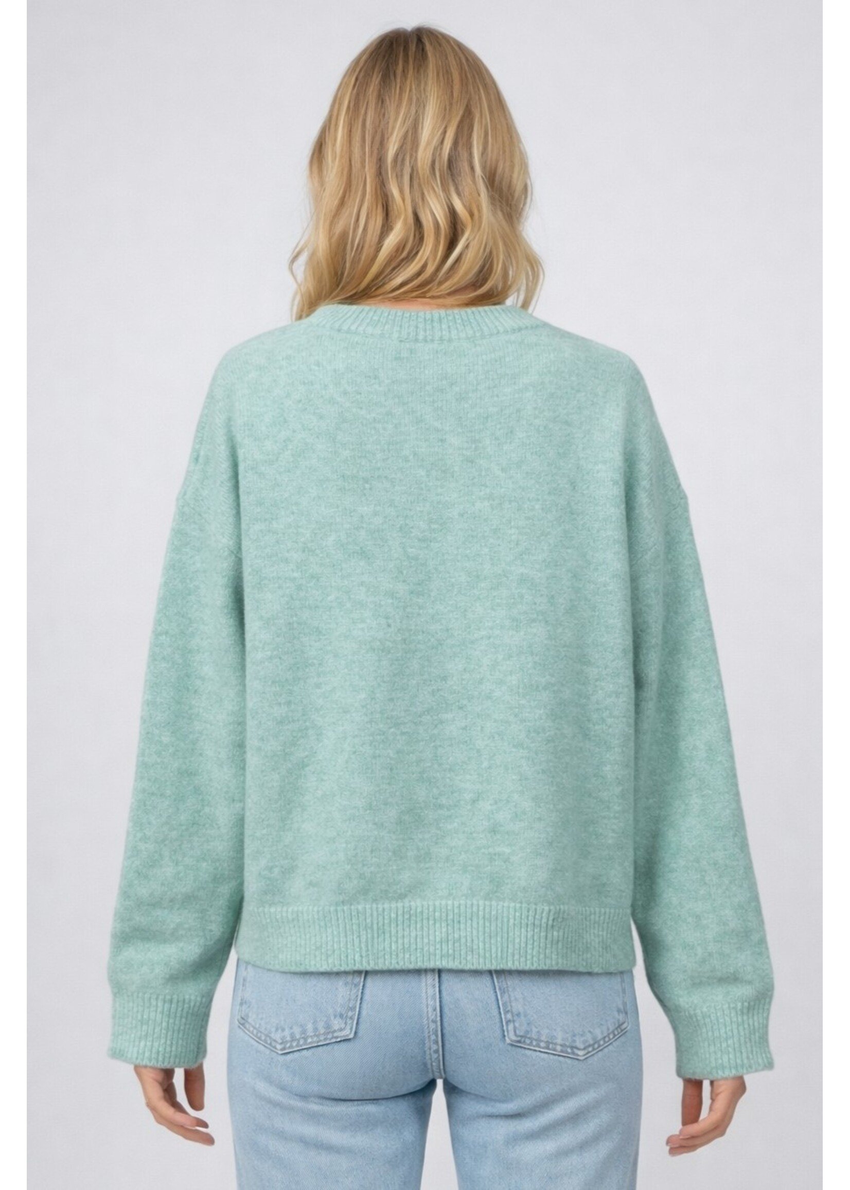 Dreamers Duck Family Knit Sweater - K6109-B