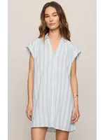 Z Supply Shellbound Striped Dress - ZD262603