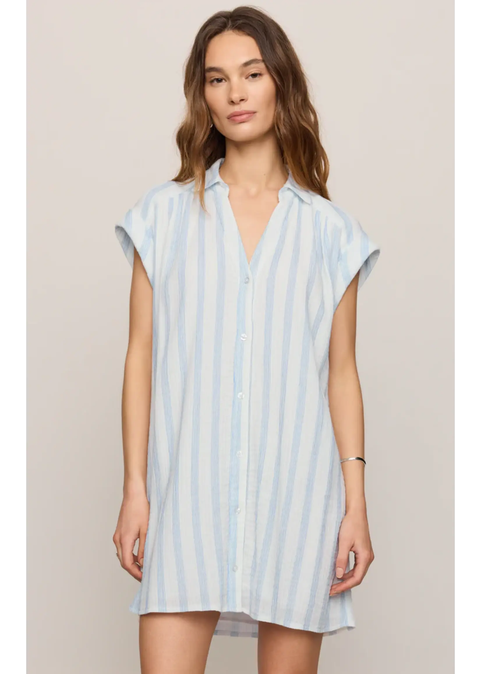 Z Supply Shellbound Striped Dress - ZD262603