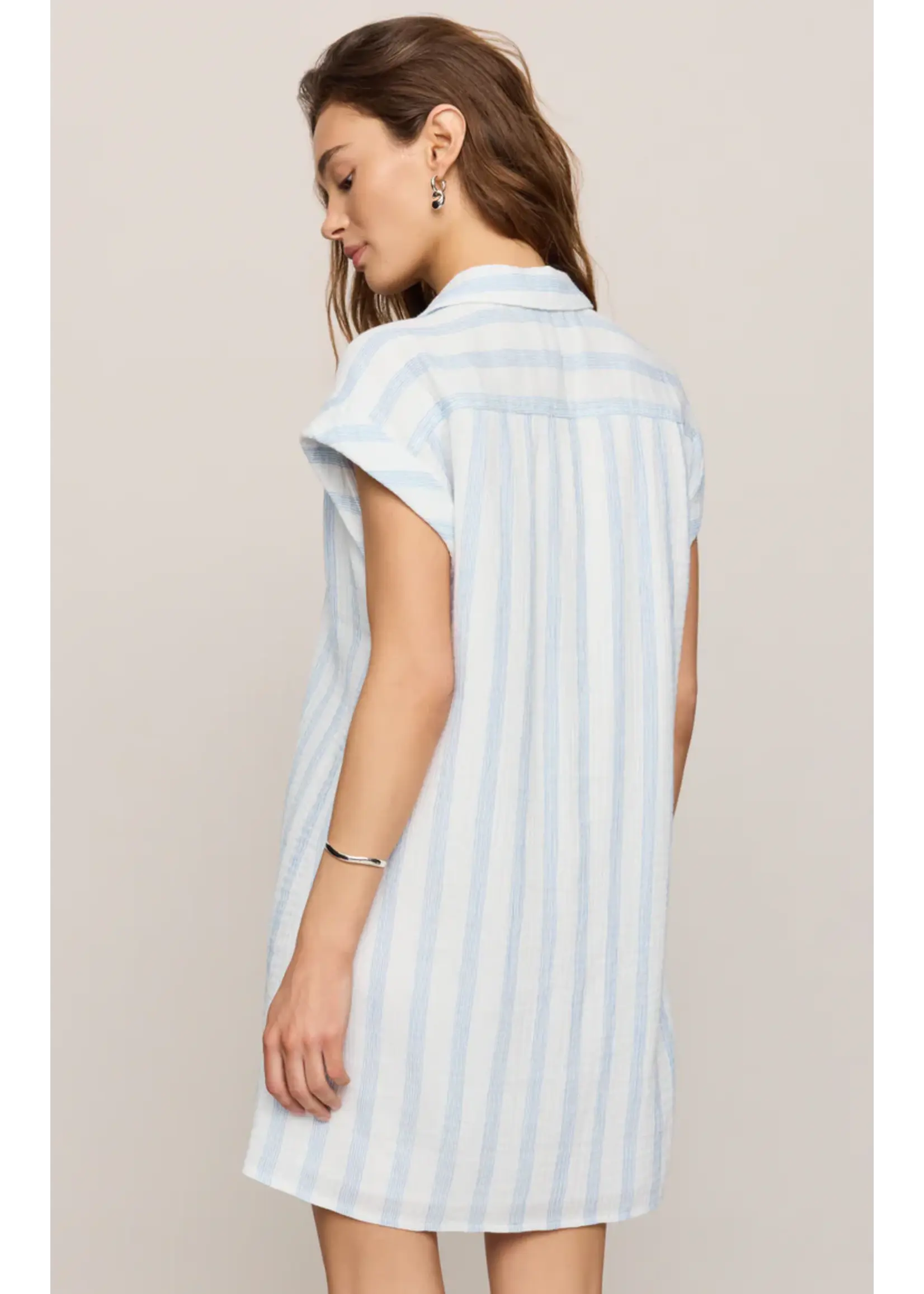 Z Supply Shellbound Striped Dress - ZD262603