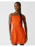 Steve Madden Maureene Dress - SB14339