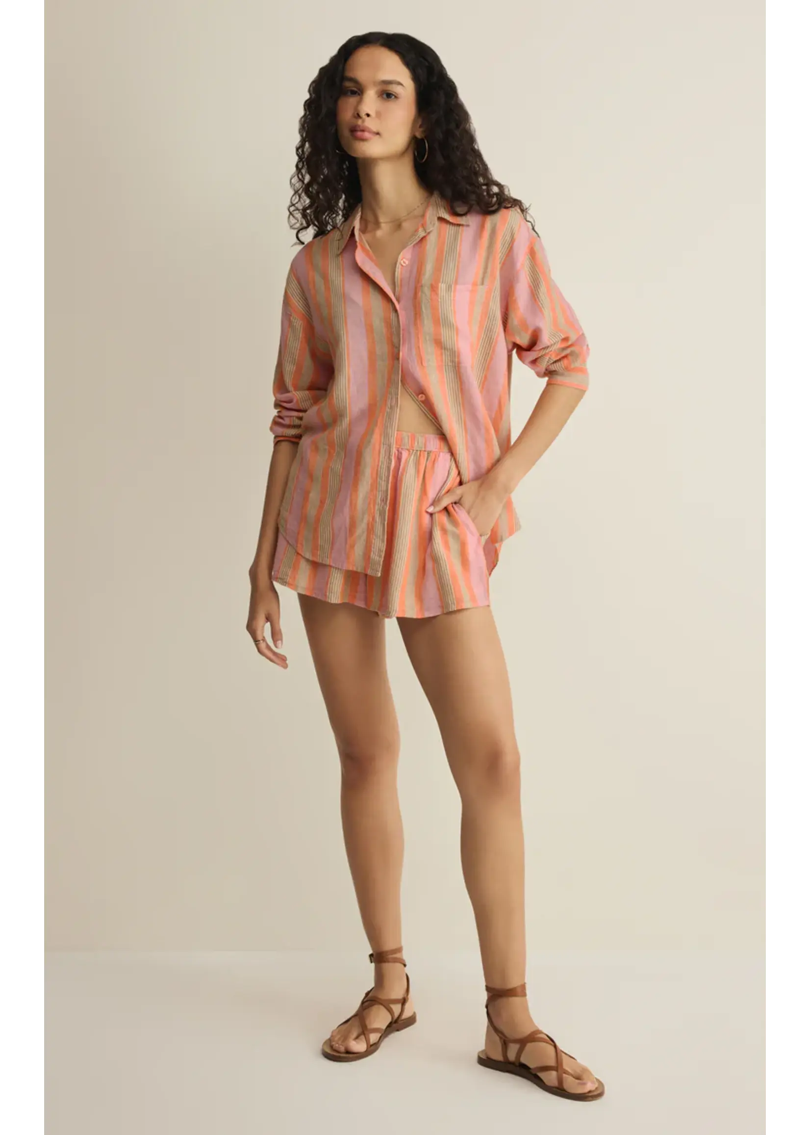 Z Supply The Perfect Striped Button Up - ZT262689