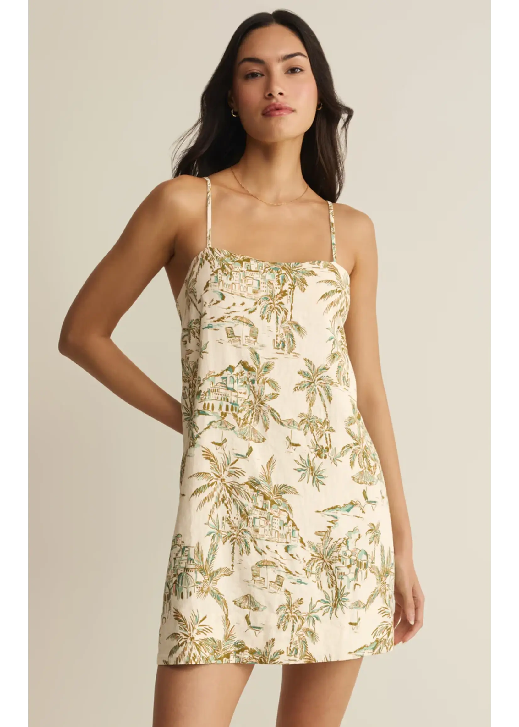 Z Supply Maude Tiki Tide Mini Dress - ZD262679