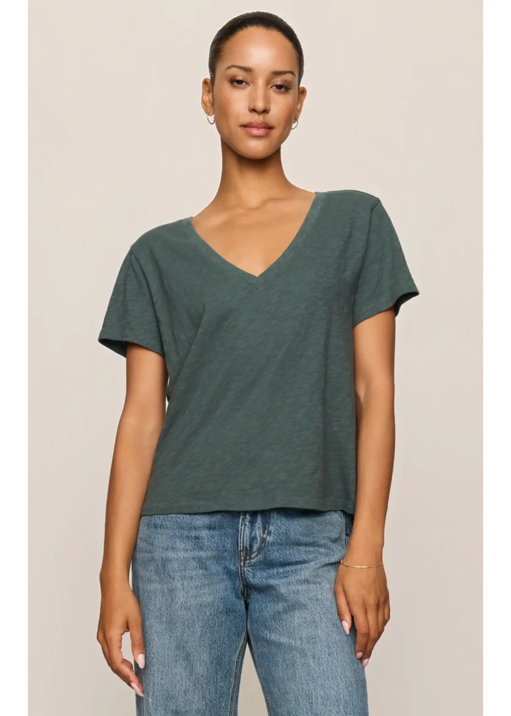 Z Supply Nomad V Neck Tee - ZT263210