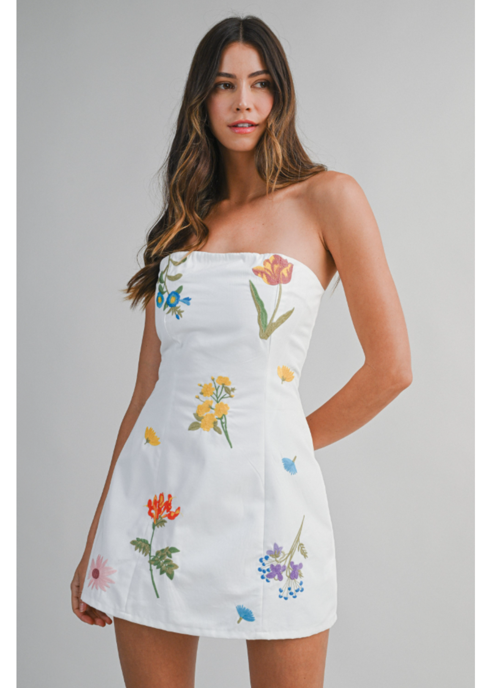 Mable Floral Embroidered Mini Tube Dress - MD6444