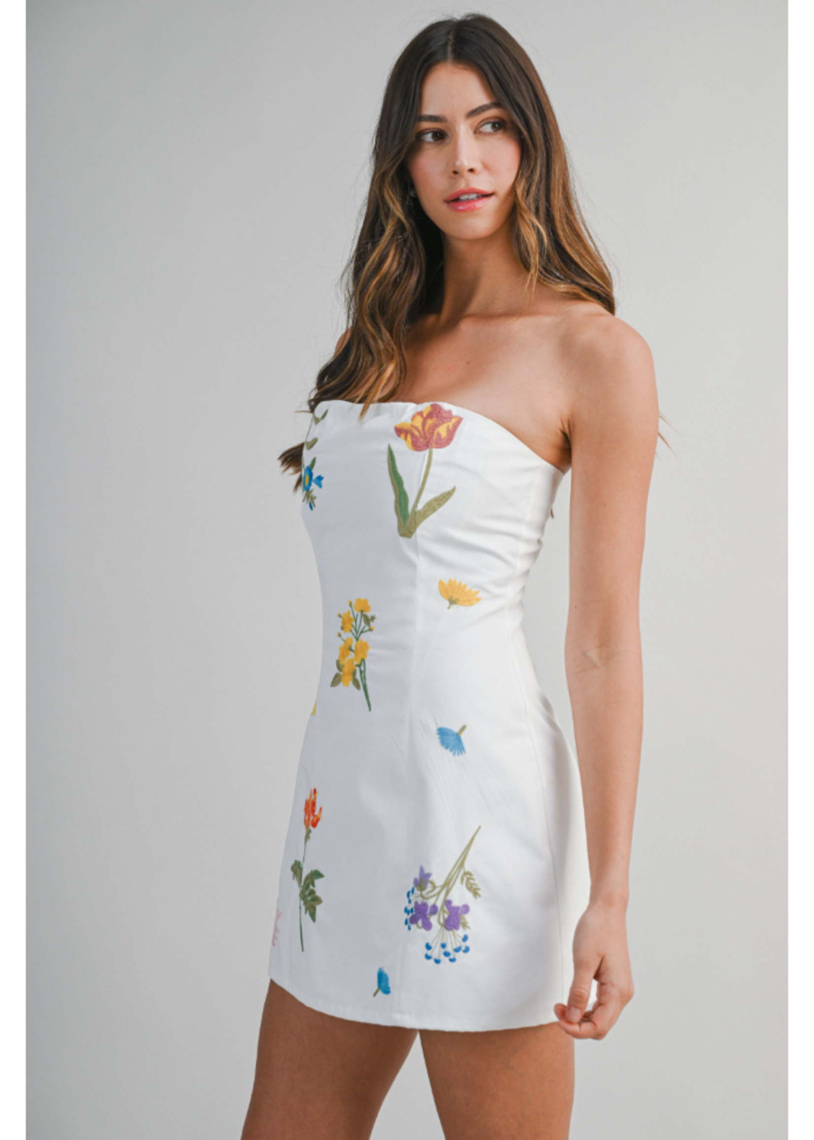 Mable Floral Embroidered Mini Tube Dress - MD6444