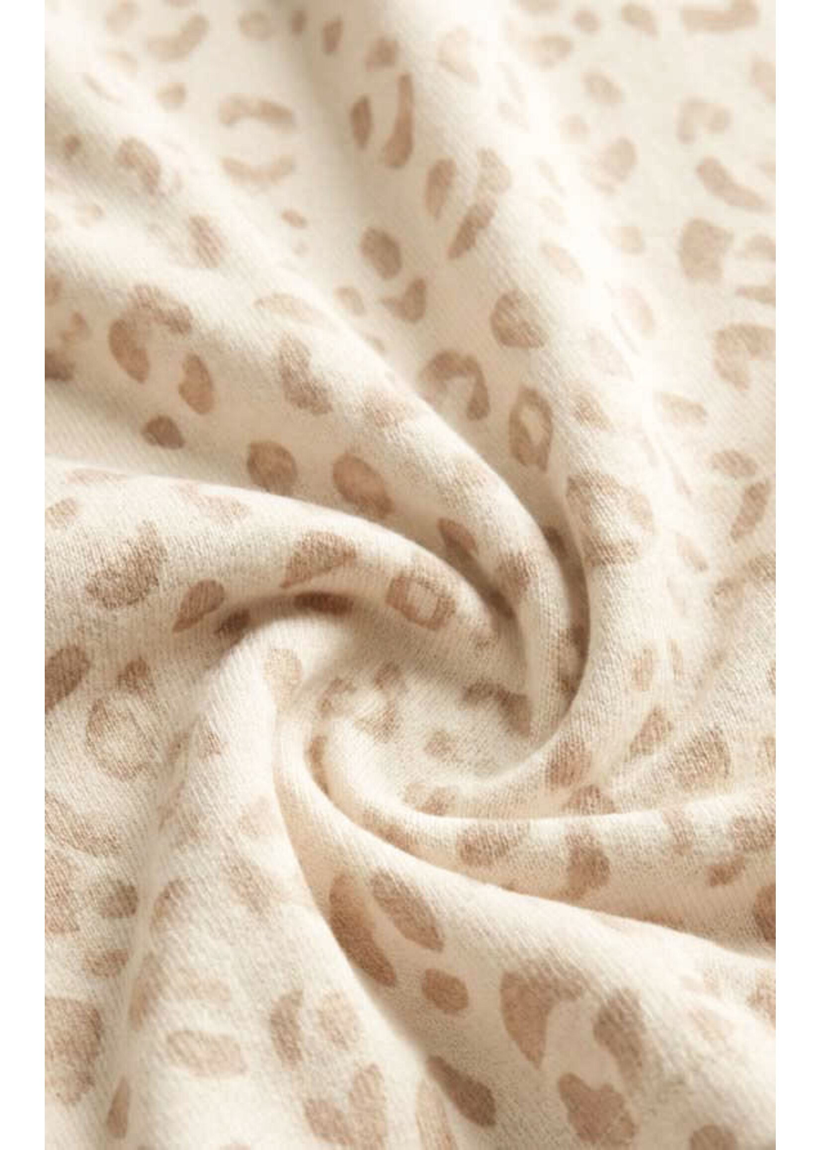 Z Supply Soft Leo Long Sleeve Top - ZLT263472