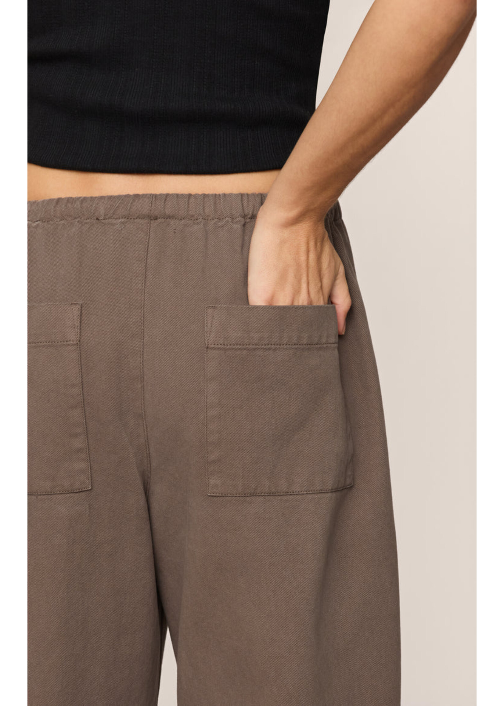 Z Supply Kit Twill Carpenter Pant - ZP263167