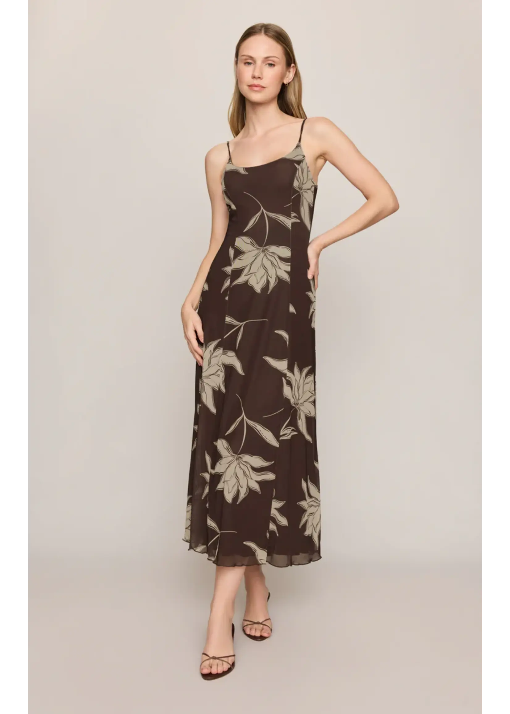 Z Supply Charisma Floral Midi Dress - ZD263362