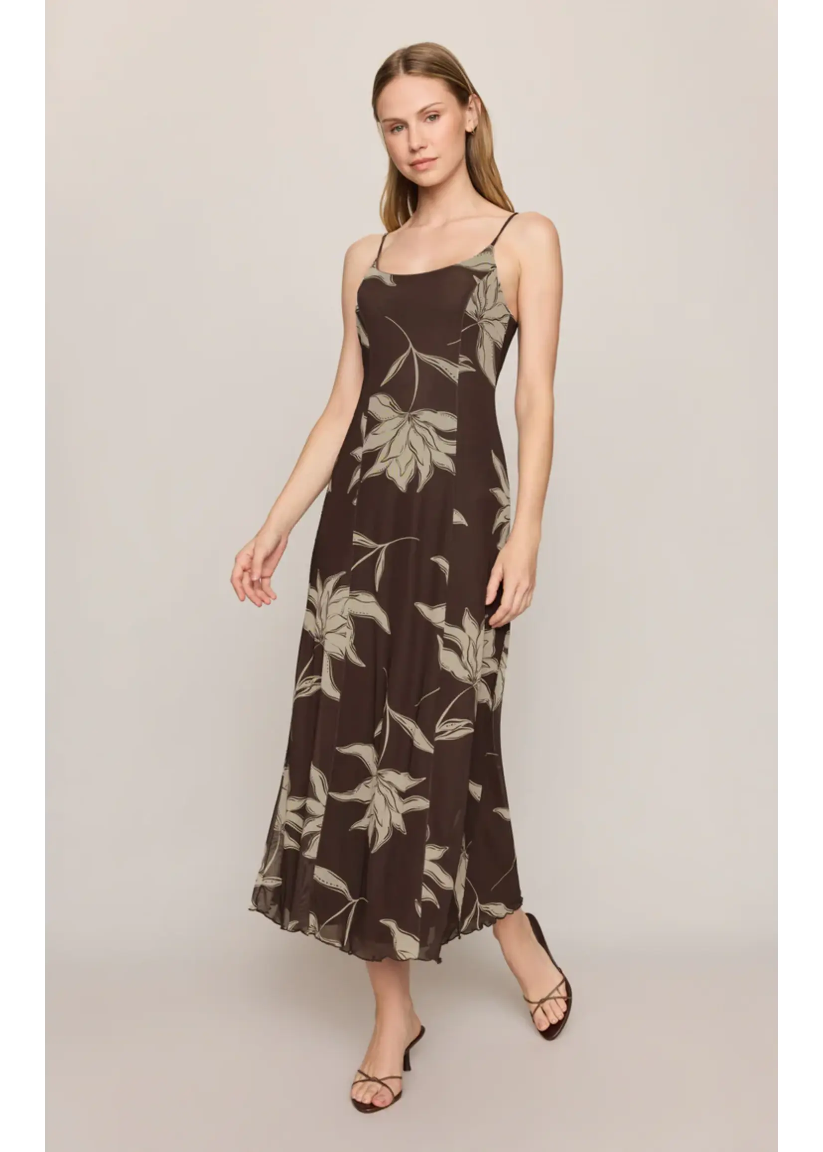 Z Supply Charisma Floral Midi Dress - ZD263362