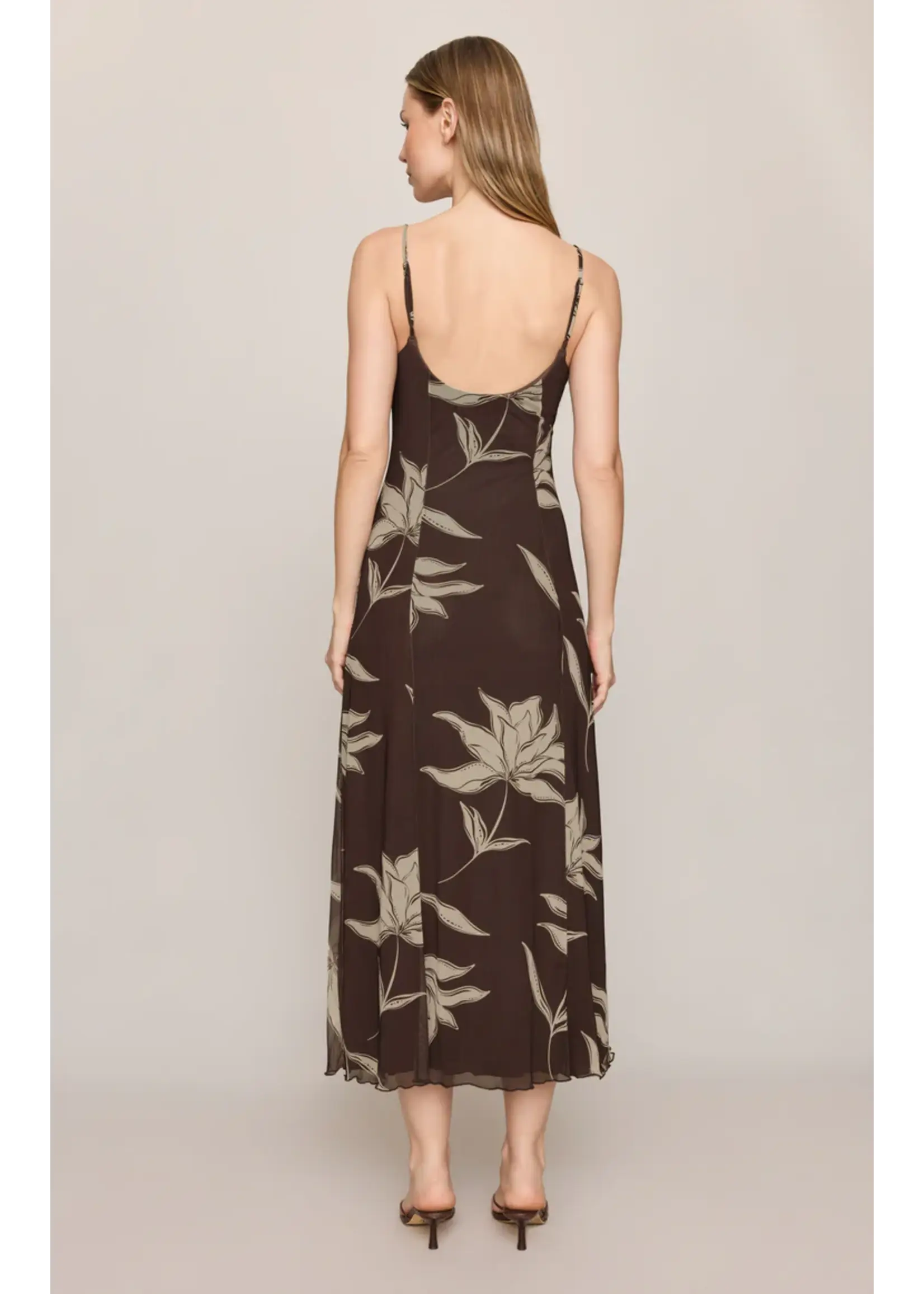 Z Supply Charisma Floral Midi Dress - ZD263362
