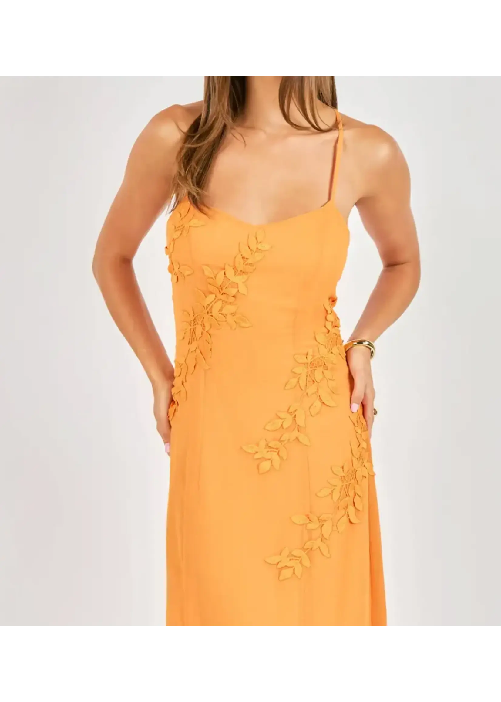Sadie & Sage Prickly Petal Applique Midi Dress - AJ1333
