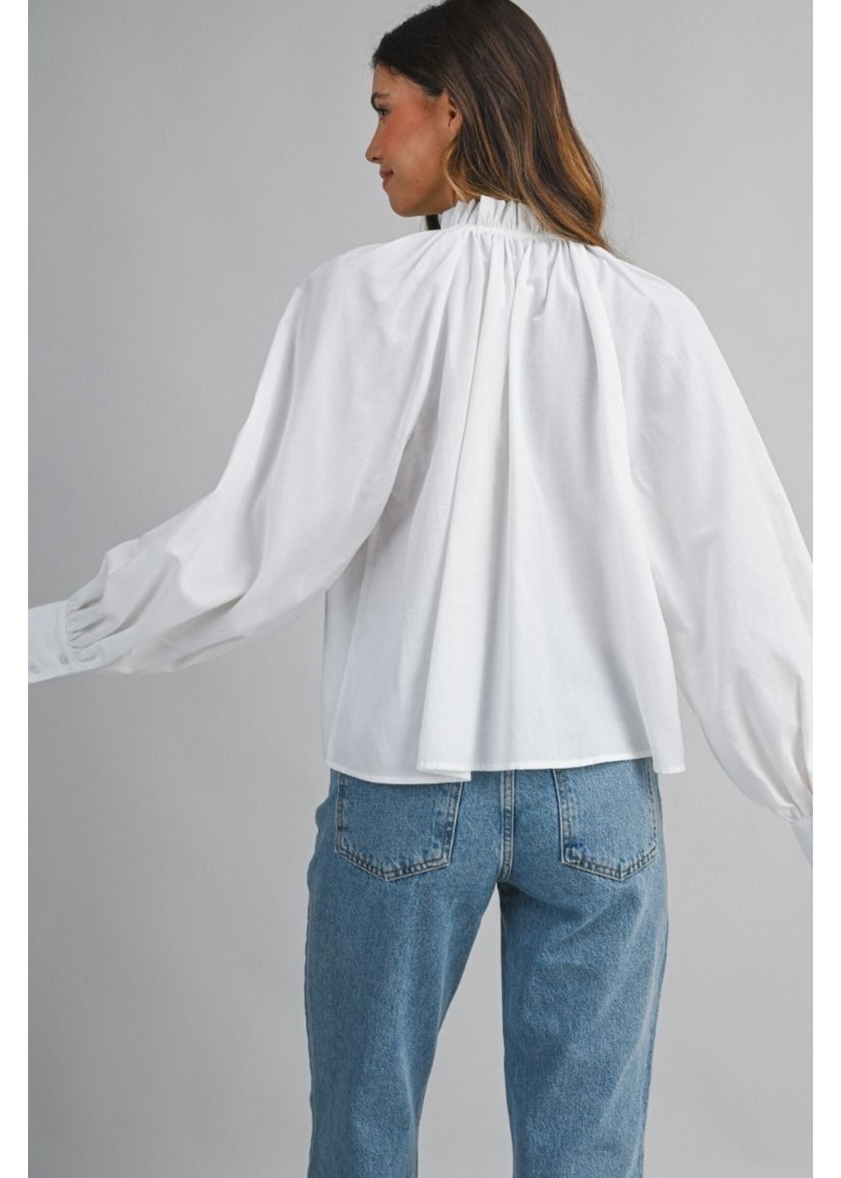 Mable Ruffle Neck Long Sleeve Blouse - MT2488