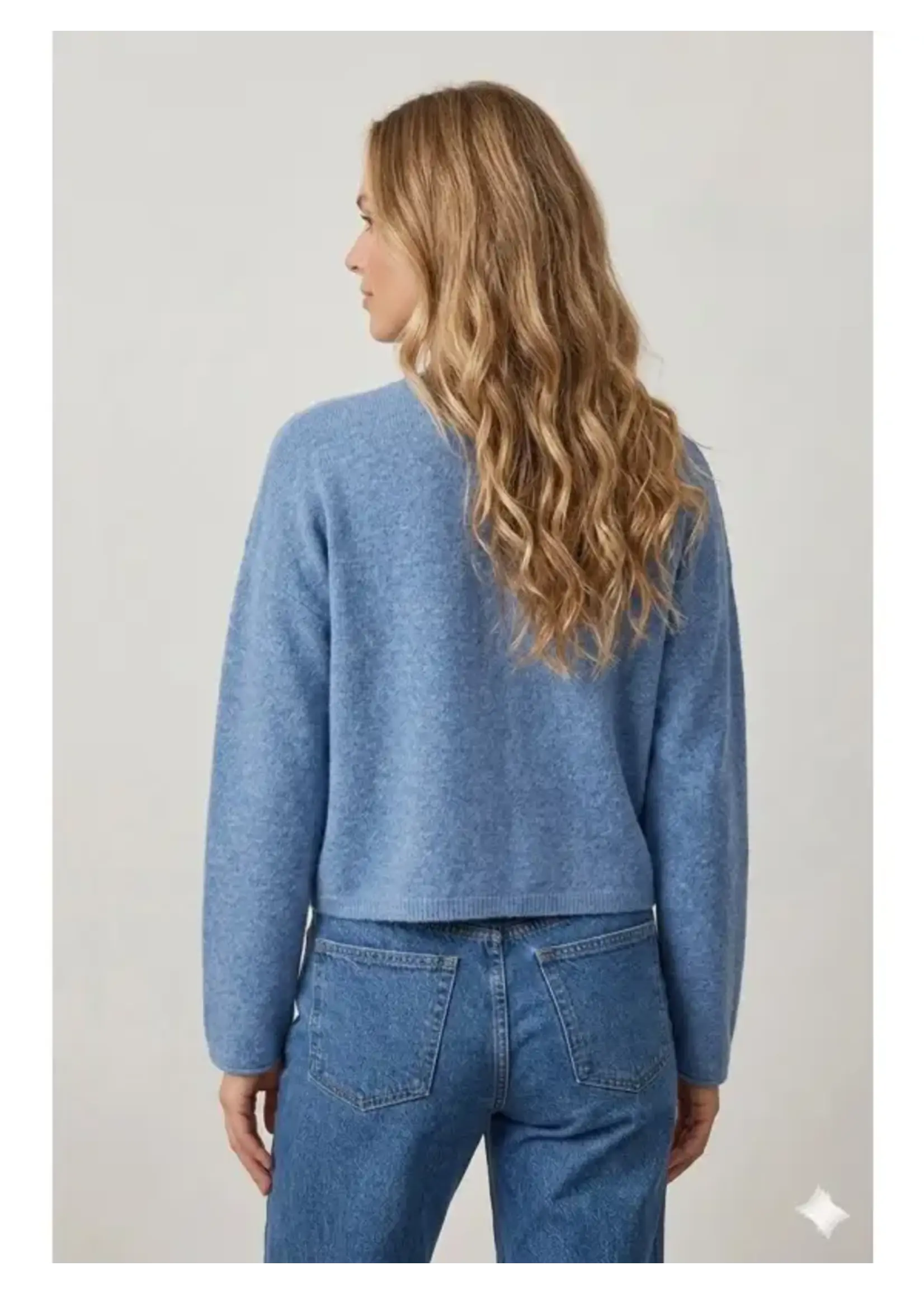 Dreamers Knit Button Up Crewneck - Y9414-R