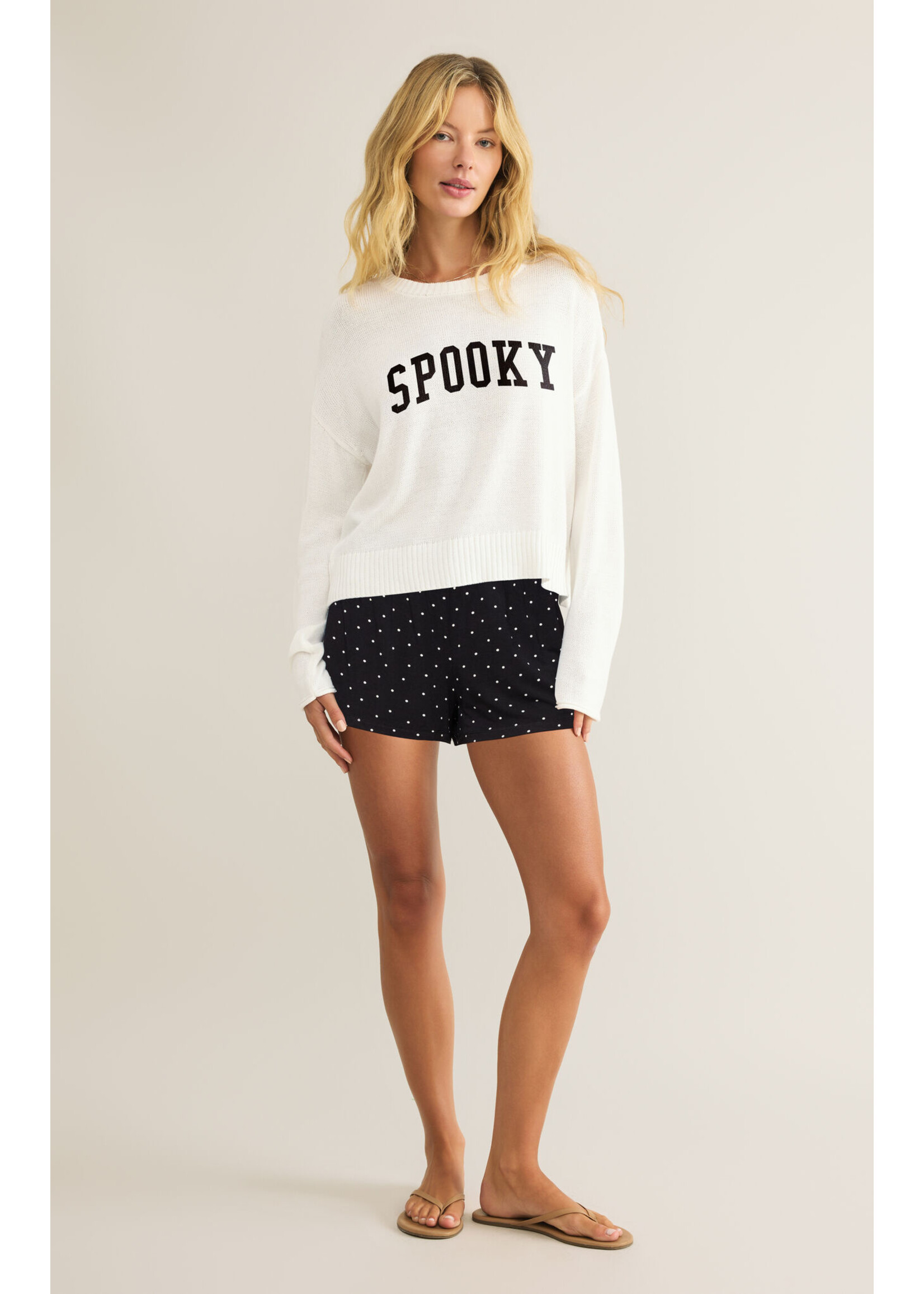 Z Supply Spooky Sweater - ZW263539