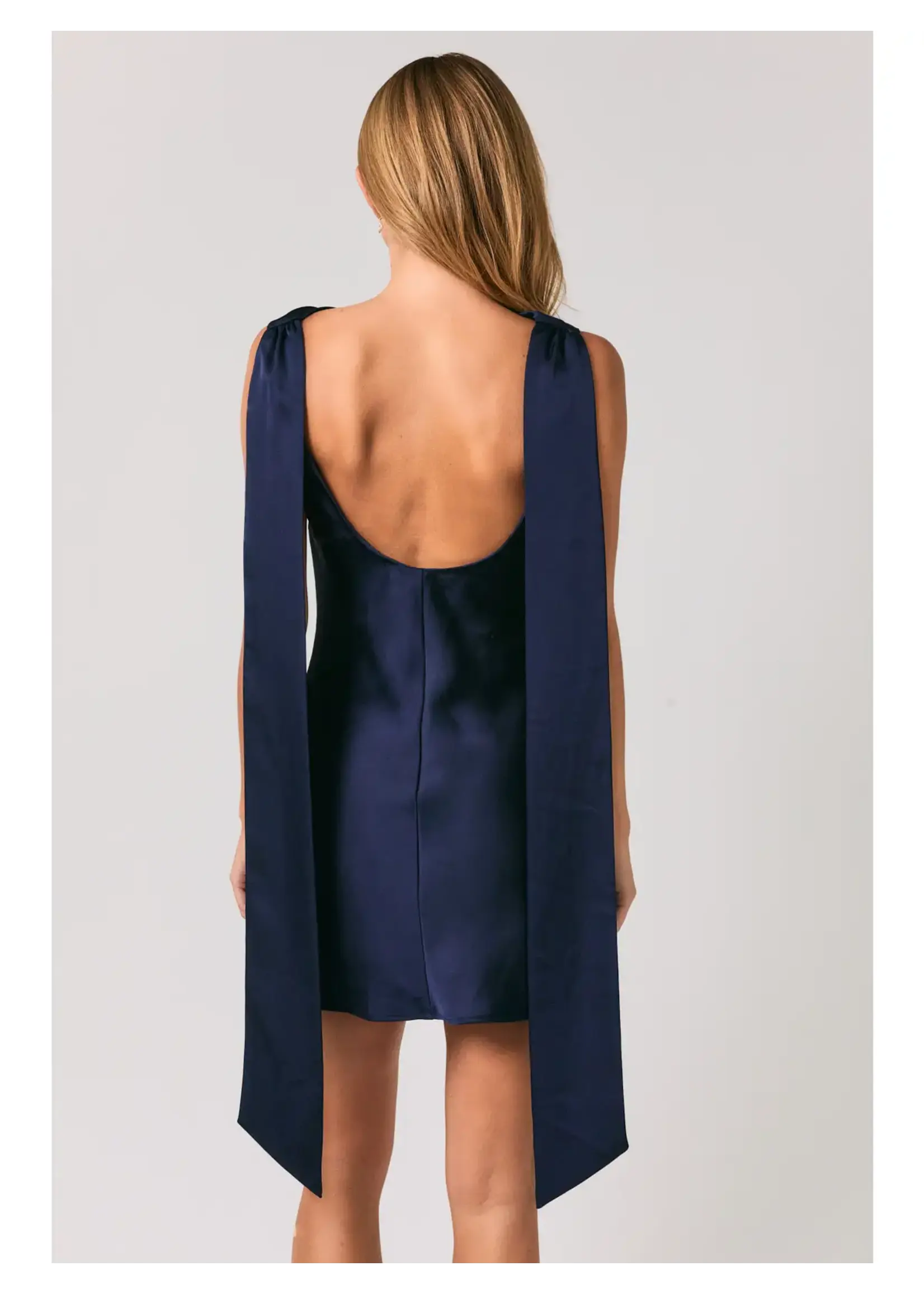 Le Lis Cowl Neck Scarf Satin Mini Dress - BD1605