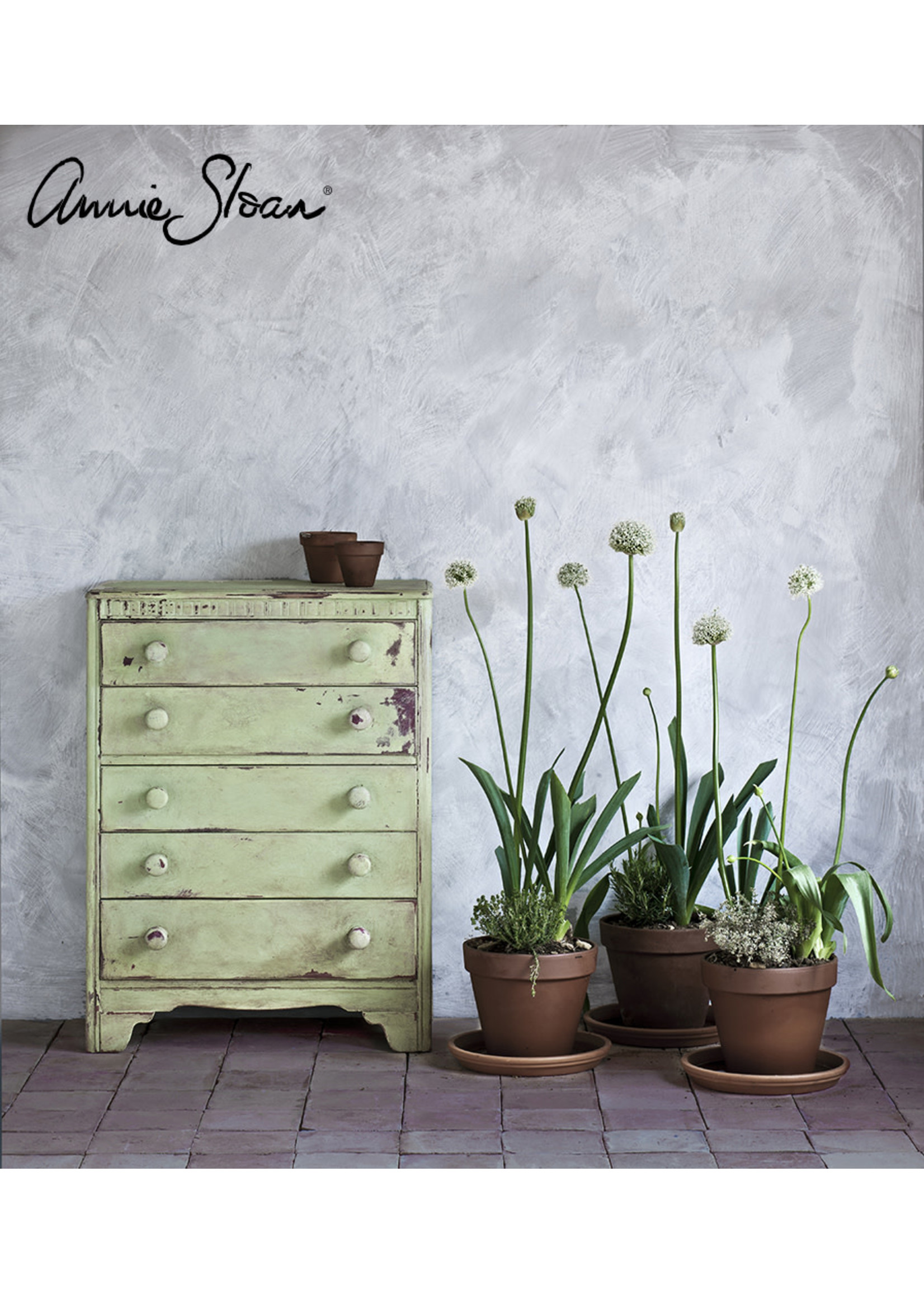 Annie Sloan Chalk Paint® Lem Lem Annie Sloan Chalk Paint ®