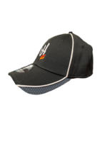 Hex Mesh Cap