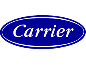 Carrier