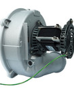 DiversiTech Rheem Direct Replacement Draft Inducer 28 Watts 120 Volts 3000 RPM