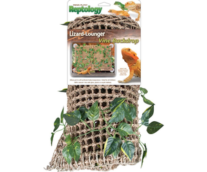 Penn Plax Inc Penn Plax lizard lounger with vines Pet Kingdom