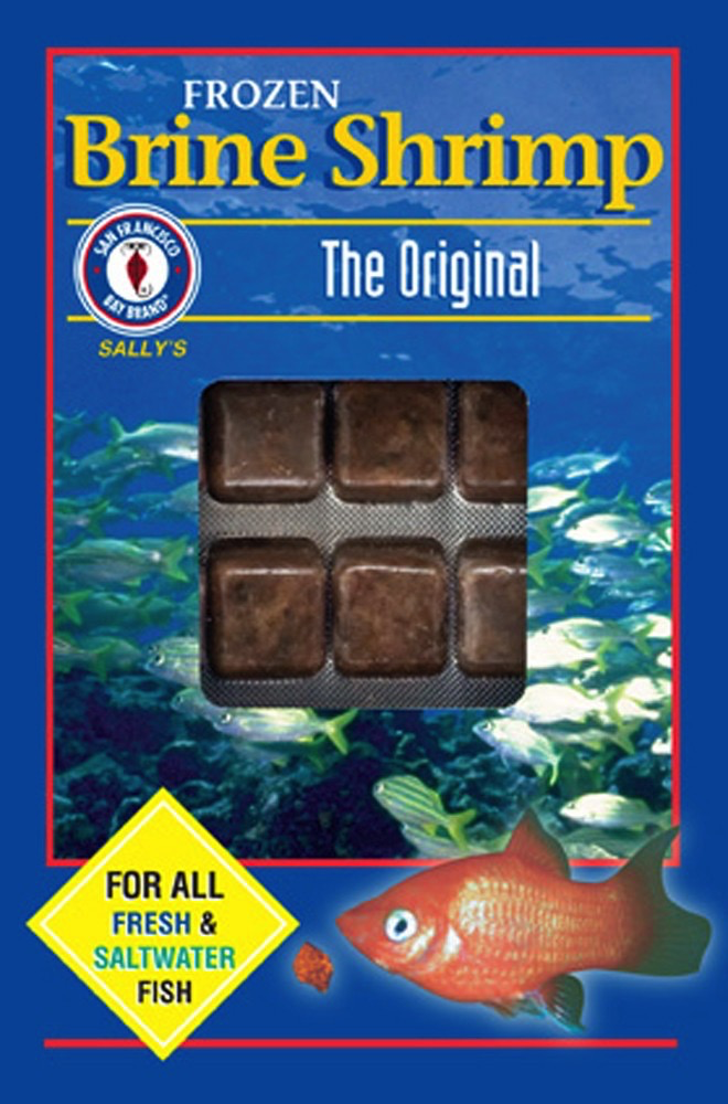 San Francisco Bay frozen brine cubes 100gm