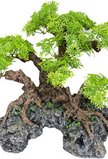Komodo Reptile Komodo bonsai tree with hide