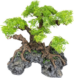 Komodo Reptile Komodo bonsai tree with hide