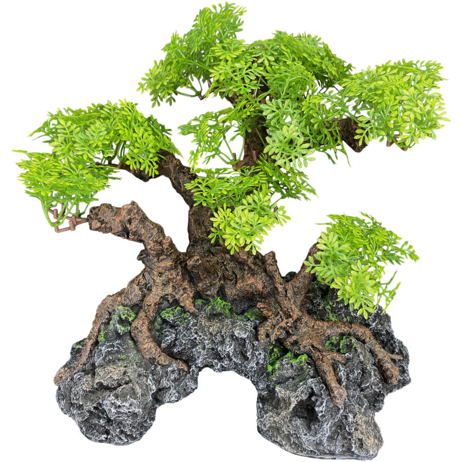 Komodo Reptile Komodo bonsai tree with hide