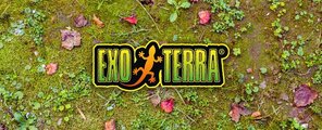 ExoTerra