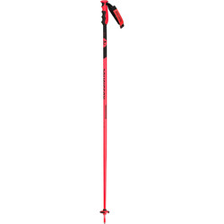 Rossignol Racing Poles Hero SL