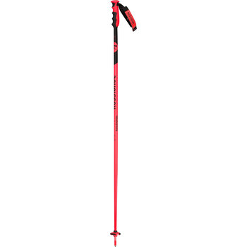 Rossignol Racing Poles Hero SL