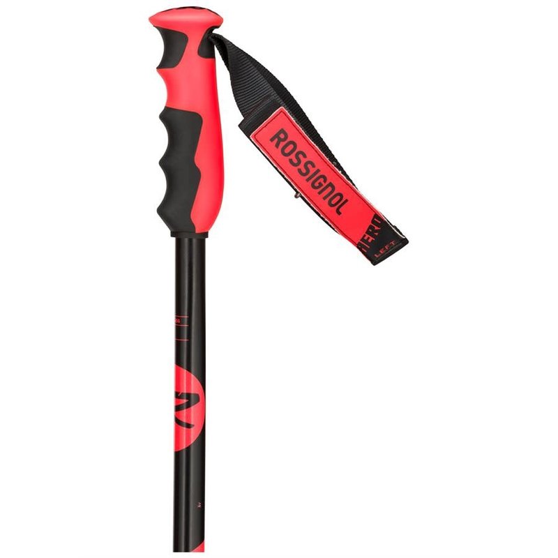 Rossignol Racing Poles Hero GS-SG