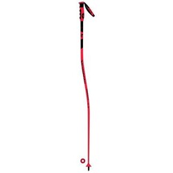 Rossignol Racing Poles Hero GS-SG
