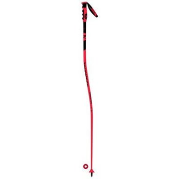 Rossignol Bâtons Racing Unisexe Hero GS-SG