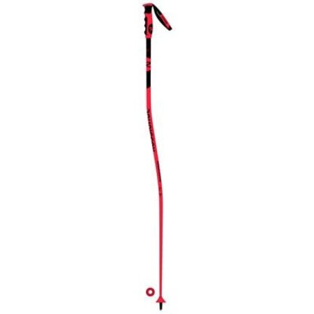 Rossignol Racing Poles Hero GS-SG