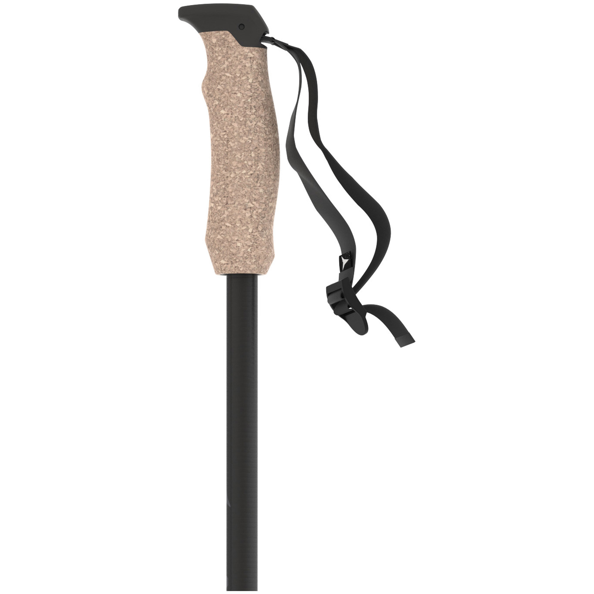 Atomic AMT Carbon Ski Poles (25/26)