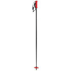Nordica Bâtons de Ski Freeride Pro Man Ski Poles